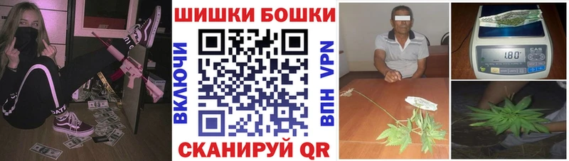 где купить наркоту  Горбатов  Каннабис сатива 